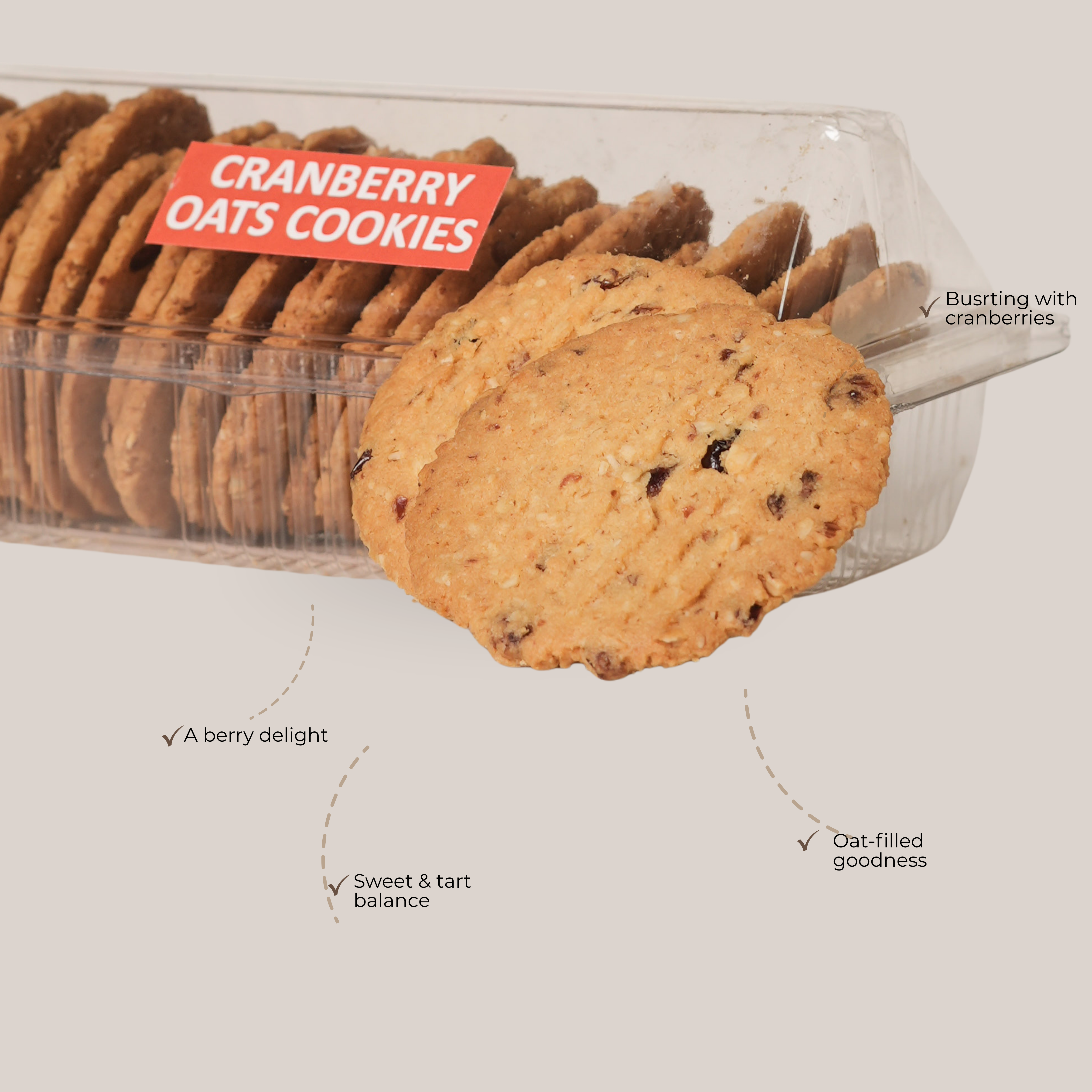 Cranberry Oats Cookies